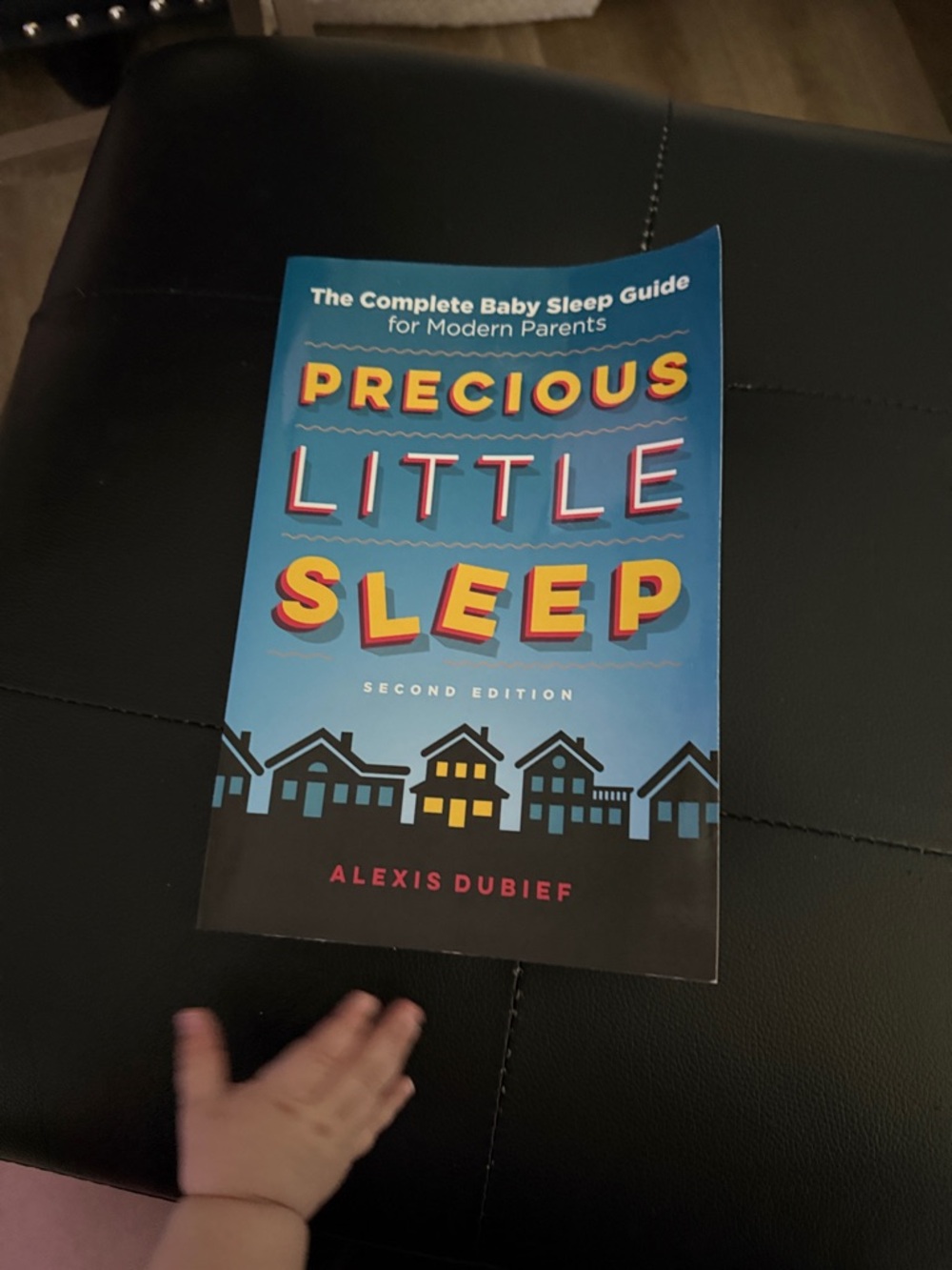 Precious Little Sleep Book by Alexis Dubief - Blue Cover